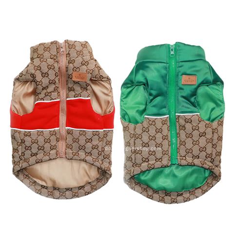 21k gucci dog jacket